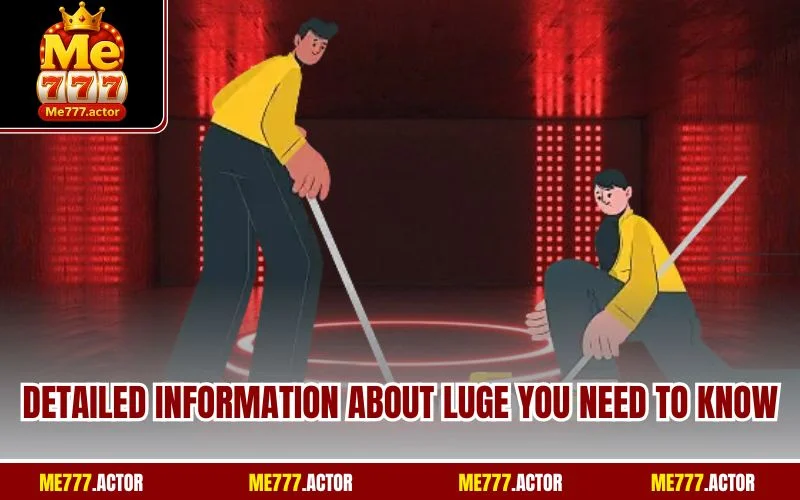 Detailed information about Luge you need to know