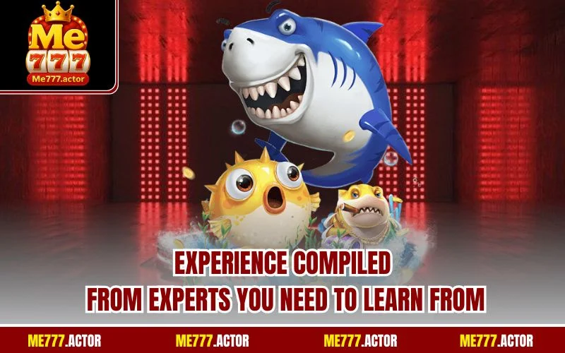 Experience compiled from experts you need to learn from