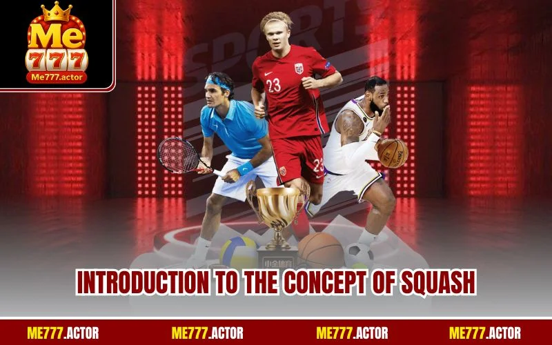 Introduction to the concept of Squash